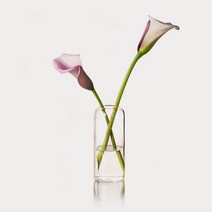 27리빙 인테리어 심플 도자기 유리 화병, 투명