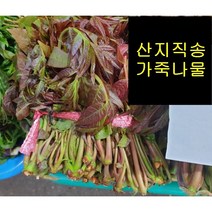 [국산 산지직송] 자연산 가죽나물 참죽 가죽순 참죽순 참가죽 1kg