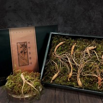 경선건강원 횡성 산양삼 6년근 장뇌삼 진세노사이드 산삼 산양산삼 먹는법 남자친구 여자친구 부모님 선물 추천 산삼, 1세트, 6뿌리