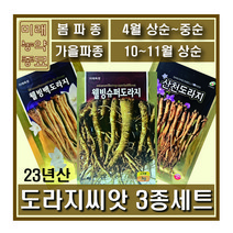미래농약종묘 23년산 미래종묘 도라지씨앗 3종- 백도라지 산천도라지 슈퍼도라지