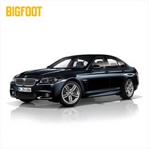 빅풋스프링 BMW 5시리즈[F10] 리프트 업 스프링(후륜만)