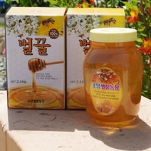 천연 해남벌꿀 전문 꿀벌의사가 관리하는 천연벌꿀 2.4kg 옻나무 아카시아 벌꿀, 옺나무꿀, 1개