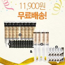 (CP-1) [cp-1] 실크단백질앰플 4+4+앰플파우치10개샘플증정, 1