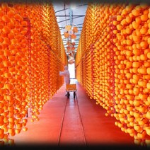 상주 곶감 반건시 명절 거래처 부모님 선물용 개별포장 이온 1호