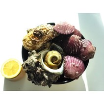 캠핑 삼배체(반손질)하프셀 굴 세트 with 홍가리비 뿔소라, 삼배체 중(4~5미), A(삼배체반손질하프셀 2팩+홍가리비 1kg)