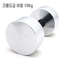 크롬도금 팔운동기구 헬스아령 10kg