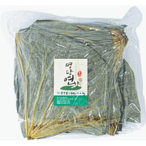 명당연향 (부안 연꽃사랑) B급 생연잎(햇연잎) 연잎 2KG, 1개