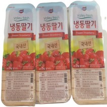 다양한 동서냉동딸기 인기 순위 TOP100 제품 추천