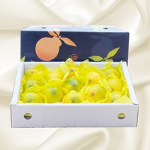 제주 산지직송 특산품 고당도 황금향 선물세트 명절 추석 설 선물, 3kg 중과 (10~16과 내외)