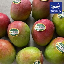 [항공직송] 페루 브라질 애플망고 2kg 4kg 가정용 선물세트, 5.[선물세트] 카라바오 망고+애플 망고 혼합 9과