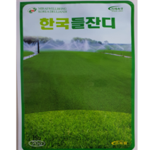 한국잔디씨앗15g봉 산소 정원 공원용 최신제품 파종레시피및 마른모래증정, 1개