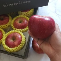 [대세사과] 강원도 부사 사과 선물세트 꿀당도, 프리미엄 사과 12과 내외 가정용 1박스