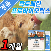 초유 단백질 10억 유산균 농축 프로틴 프리 바이오틱스 유익균 먹이 락토 바실러스 가새리 가세리 모유 분말