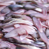 삼천포 전어 자연산 제철 전어 1kg 손질 세꼬시 전어회 회무침 물회 전어구이, 뼈없는 전어필렛 400g내외