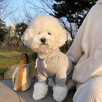 강아지 반려견 옷 겨울 애완 동물 강아지 후드 솔리드 따뜻한 개 옷 코튼 플러스 벨벳 고, [01] XS, 01 White
