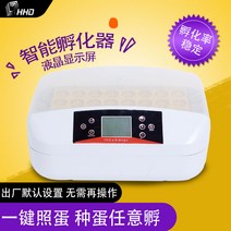 병아리부화기 인큐베이터 치킨 소형 가정용 완전 자동 HHD 계란 미니 메추라기 새 기계, [06] 에그 라이팅 기능이 있는 55S LCD