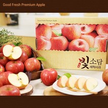 기타 [22년수확]빛소담 경북 세척사과(미시마) 4.5kg*2박스 / 총9kg, 1