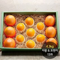 햇살아름 [햇살아름]자몽 오렌지 혼합세트 4.1kg 13과