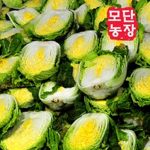 [모단농장]괴산절임배추 20kg/배추작황풍년(6~9포기), 12월 28일발송-29일도착