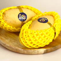 [최저가항공직송] 18brix 항공 남독마이 태국망고 설탕망고 mango, 4kg(8~11과내외), 1개