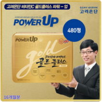 비타민C 골드플러스 업그레이드 파워업 고려은단 16개월분 480정 면역 건강기능식품, 1130mg x 2박스