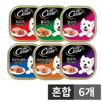 mars 시저 캔 혼합 반려견 주식캔 혼합구성 100g 24개입 시저, 6캔, 시저캔 혼합