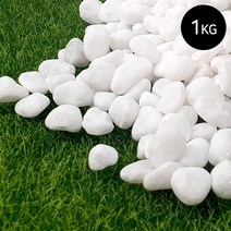 마이플랜트 백자갈 1kg 소포장, 9호(40~50mm), 1개