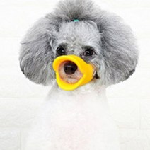 소형강아지 귀여운 입마개 사이즈체크 입질금지 포메 말티즈 치와와 시츄, 옐로우S