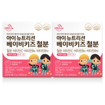 데이라이프 아이 뉴트리션 베이비키즈 철분 X 2박스, 33포, 2개