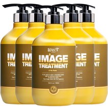 위스티 이미지 극손상 헤어트리트먼트 아라로즈 500ml, 5개