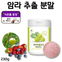 알 약 케이스 증정 블랙커런트 크랜베리 블루베리 아사이베리 스트로베리 가루 암라 추출 분말 비타민C 암라가루 세븐베리 빌베리 인도 구스베리 블랙베리 라즈베리