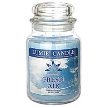 르미에 라지자 캔들 630g, 후리지아, 1개