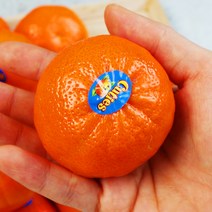 미국산 만다린귤 큐티귤 1kg/2개 주문시 2.5kg발송, 2개