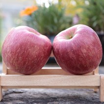 소백산 죽령 고냉지 단양사과 부사사과 5 kg(16-18과 중 선정), 18과