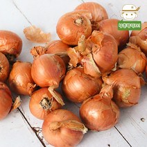샬롯 (미니양파)200g/500g, 샬롯 200g
