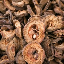 착한약초 국내산 돌배(편) 600g, 1개, 상세페이지 참고