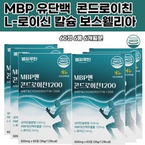 류신 MBP앤콘드로이틴 엘로이신 유단백추출물 상어연골가루 해썹인증 미국 필수아미노산 가수분해유청단백