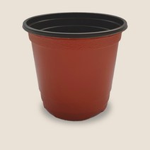 이색포트 플라스틱 10cm 화분, 플라스틱 10cm 화분 x 20개