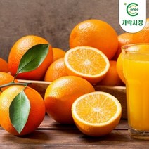 온도씨 [온도씨]가락시장 오렌지 1개