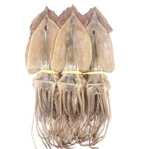더줌 마른 오징어 자연 건조 동해 해풍 마른오징어 20미(1.3kg) 10미(650g) 5미(330g)