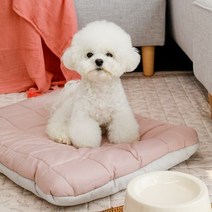아망떼펫 털안붙는 알러지케어 애견방석 M L, L핑크