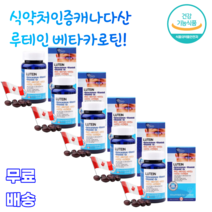 요호 루테인 베타카로틴 비타민A 비타민E 아연복합제 5중복합 캐나다직수입 LUTEIN 빌베리 타우린 황반색소밀도 눈 50 60대 노인 부모님 청소년 중년층 장년층 수험생 시력 선물, 5통, 90캡슐