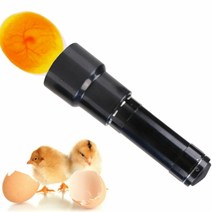 검란기 부화확인 9 LED 부화검사기 유정란 계란 달걀