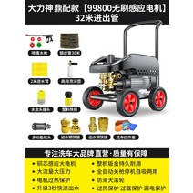 고압세차기 고압세척기 세차건 검은 고양이 세인트 일반 자동차 세탁기 가정용 220V 물총 워터 펌프 브러시 유물 강력한 바닥 잡아, 19. [99800 브러시리스 유도 모터] 32m 입구