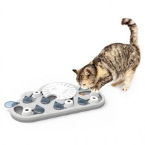 니나오토슨 캣 레이니데이 퍼즐앤플레이 고양이 두뇌개발, 상세페이지 참조, 상세페이지 참조, 상세페이지 참조