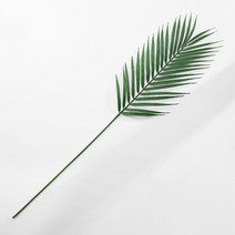 (주)아트인 야자수잎 조화, 대
