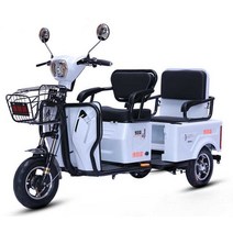 다인승 세발 오토바이 삼륜 전기스쿠터 어르신 전동차, 800W+60V22a 블랙골드수명50km48V