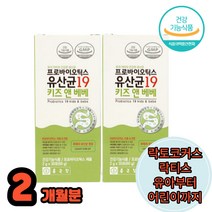 유아유산균 엔테로코커스 페슘 락토코커스락티스 돌부터 6세