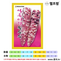 헬프팜 얼룩이찰옥수수 600g 종자 씨앗 동원농산종묘