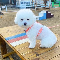 독스랩 강아지 H 하네스 앞섬방지 가슴줄, 베이지